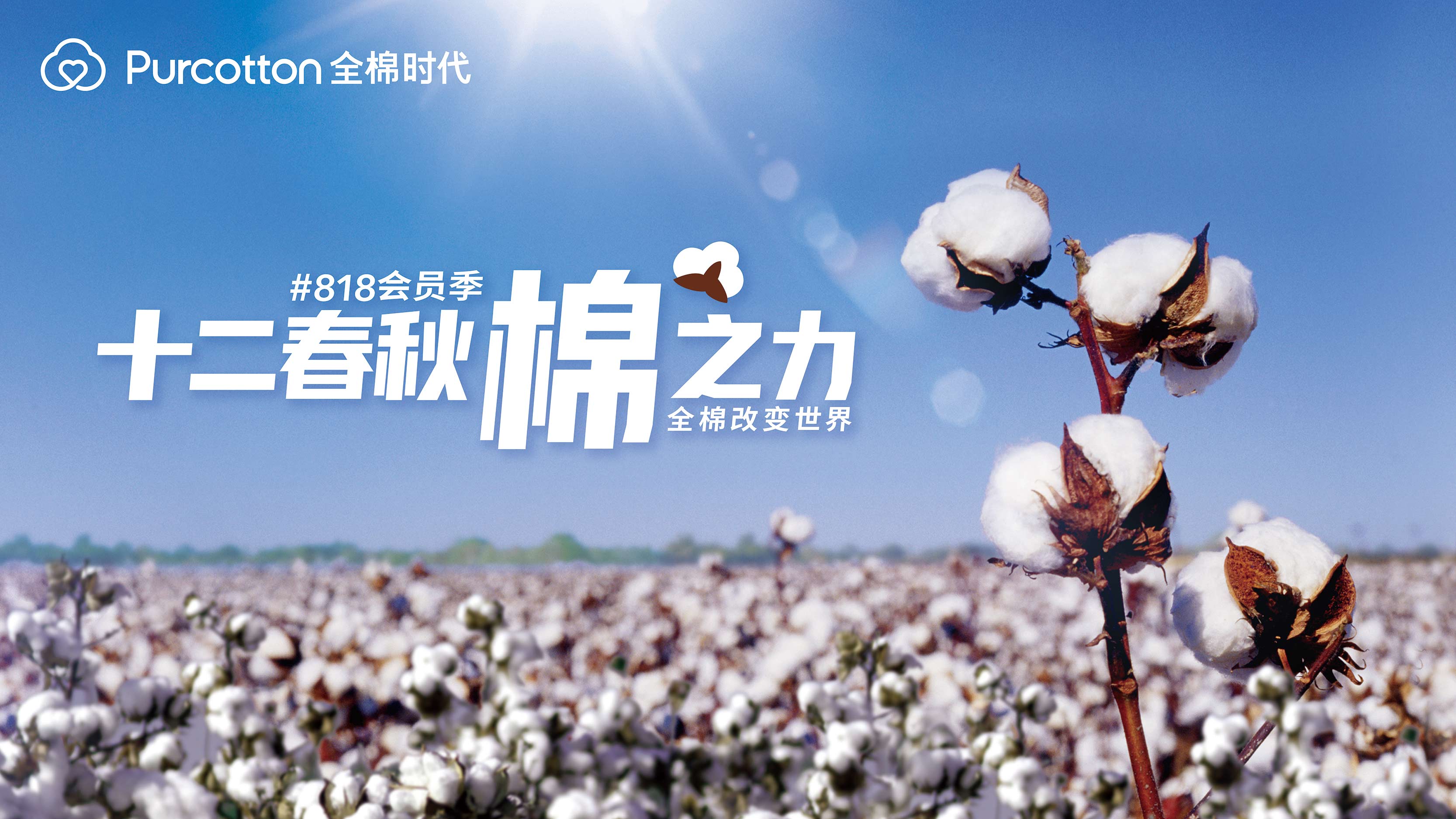 全棉時(shí)代818