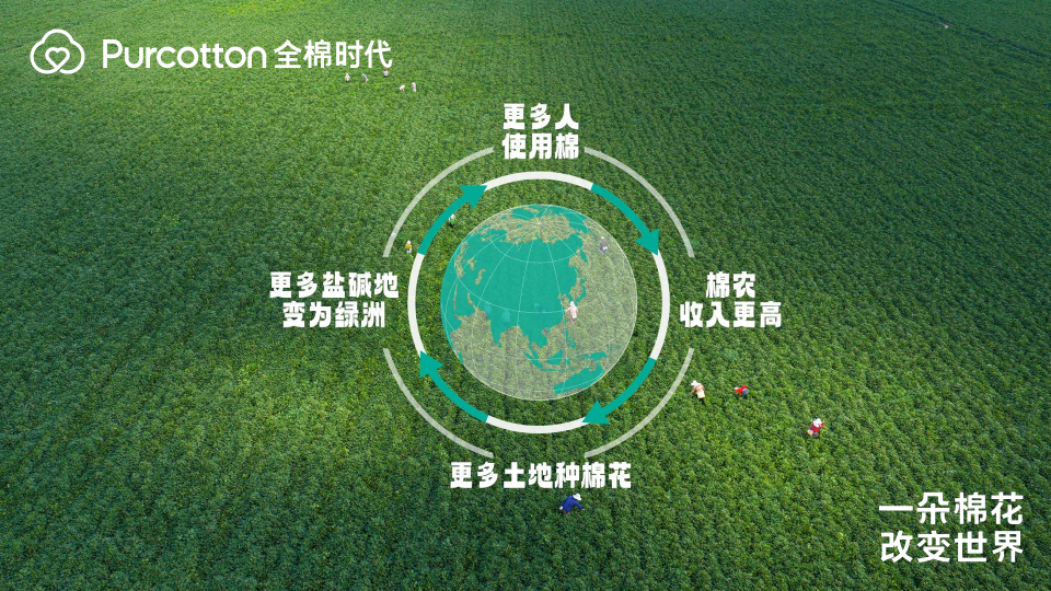 圖8棉花生態(tài)鏈.jpg