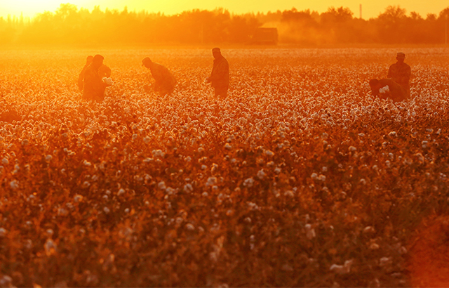 qczhu《夕陽西下》