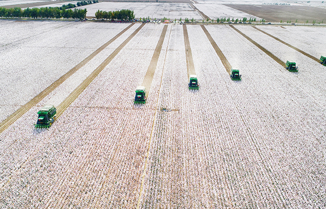 在這金色的殿堂里《萬頃良田裁銀裝》